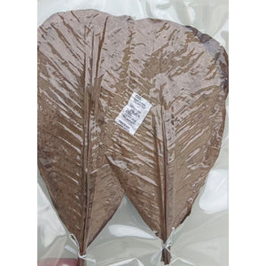 Magnolia leaf